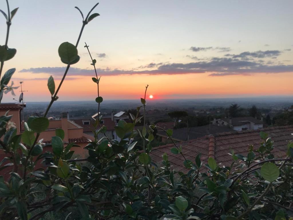 Villa Maximo Apartment Albano Laziale Buitenkant foto